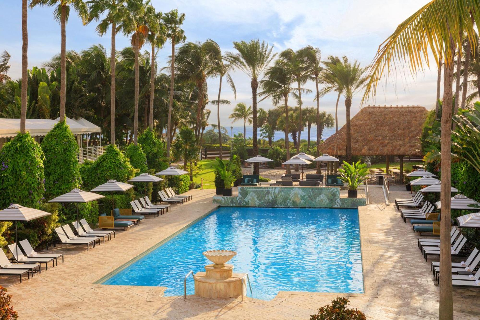 Kimpton Surfcomber Hotel By Ihg